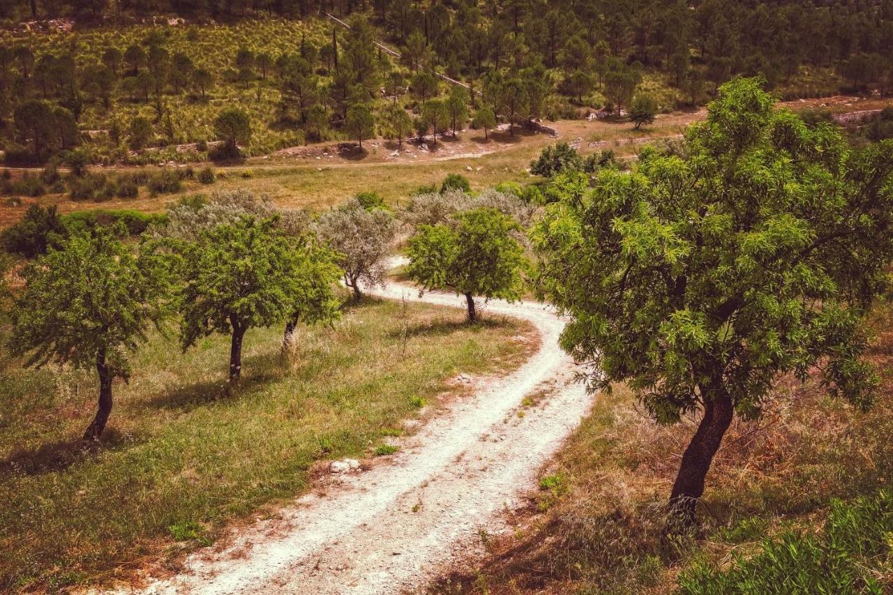 Casa Luna - 16Th Century Traditional Spanish Village House Pinos del Valle Екстер'єр фото